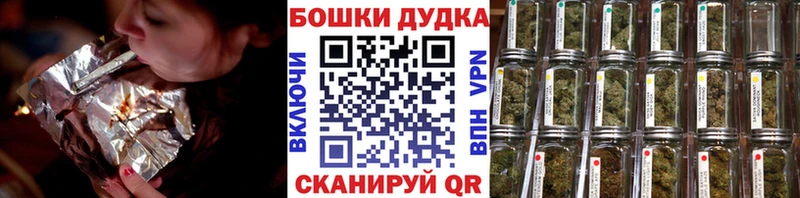 Канабис сатива  наркошоп  Николаевск 